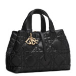 Christian Dior Medium Dior Toujours Bag